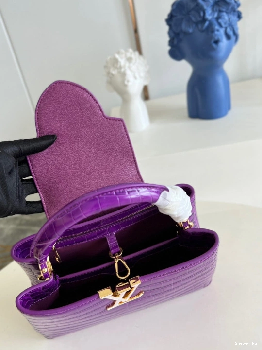 BB VUITTON CAPUCINES LOUIS 0728